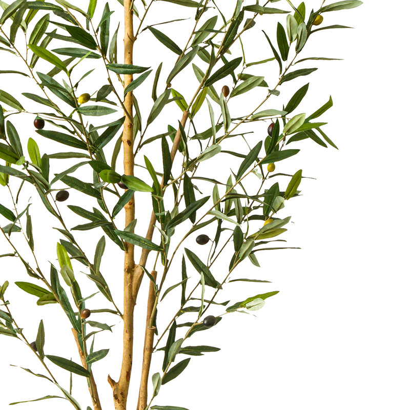 Primrue Faux Olive Tree in Pot & Reviews Wayfair